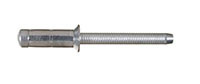 Orlock™ Stainless Steel 100 Degree Countersunk Head Rivets