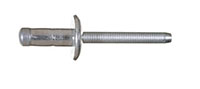 Orlock™ Stainless Steel Large Head Rivets