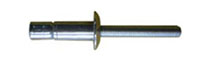 OR-Bolt Stainless Steel Protruding Head Rivets