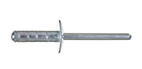 Steel-Fix All Steel Large/X-Large Head Rivets 