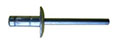 Orlock™ Steel X Large Head Rivets